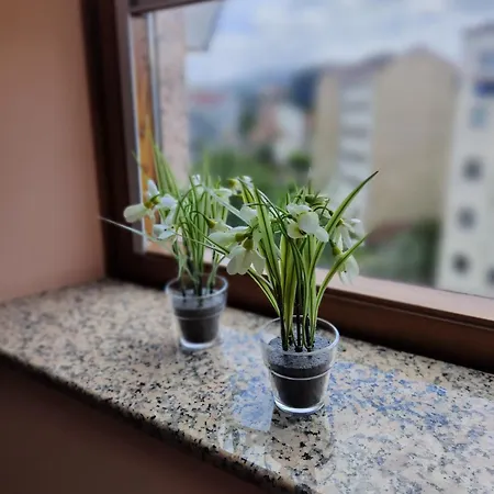 La Ventana De Ana *